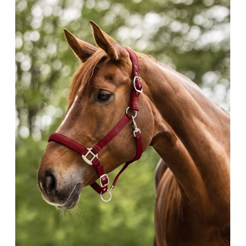 Waldhausen Halter Satin