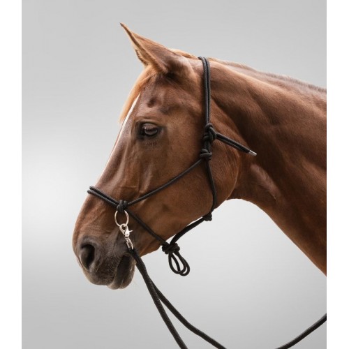 Waldhausen Rope Halter with Reins