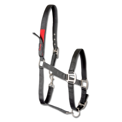 Waldhausen Safety halter