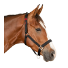 Waldhausen Safety halter