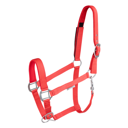 Waldhausen Safety halter