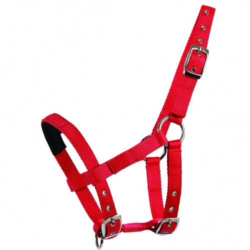 Waldhausen Mini Shetland Halter