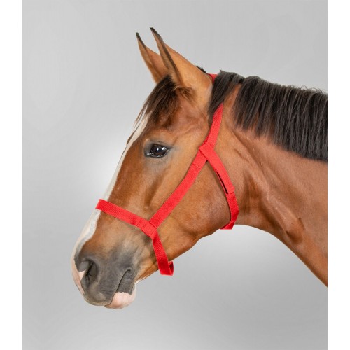 Waldhausen Pasture Halter