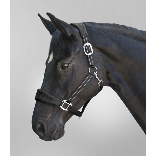 Waldhausen Halter Alcantara