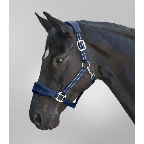 Waldhausen Halter Alcantara