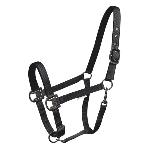 Waldhausen Halter Gloomy
