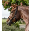 Waldhausen Halter Gloomy