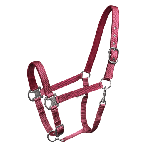 Waldhausen Halter Gloomy