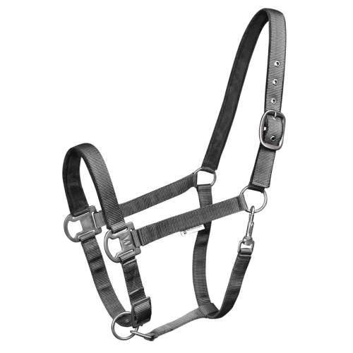 Waldhausen Halter Gloomy