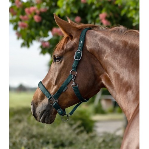 Waldhausen Halter Gloomy