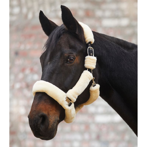 Waldhausen Halter Cozy