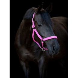 Horseguard недоуздок Malva