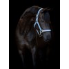 Horseguard Halter Malva