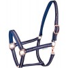 Waldhausen Halter Rosé