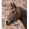 Waldhausen Leather Halter X-Line Polo