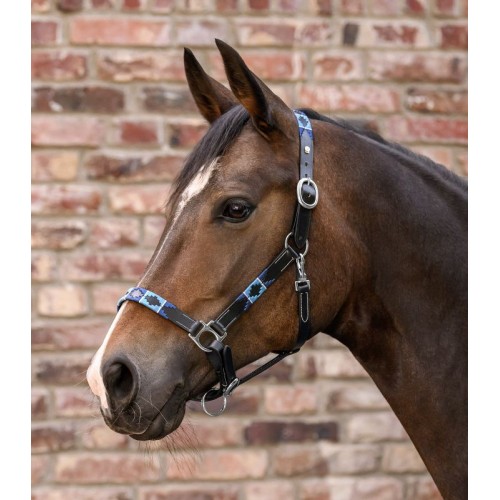 Waldhausen Leather Halter X-Line Polo