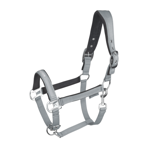 Waldhausen SS26 Halter Athletic