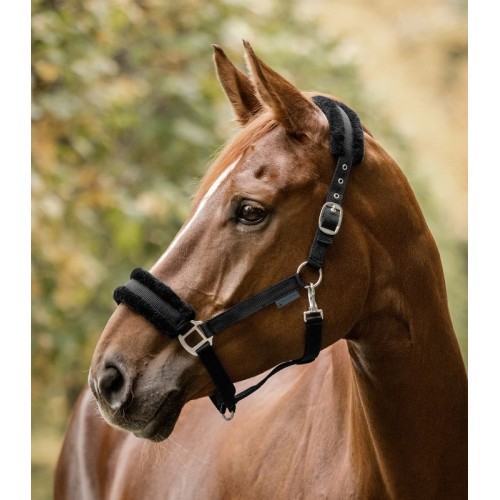 Waldhausen Halter First