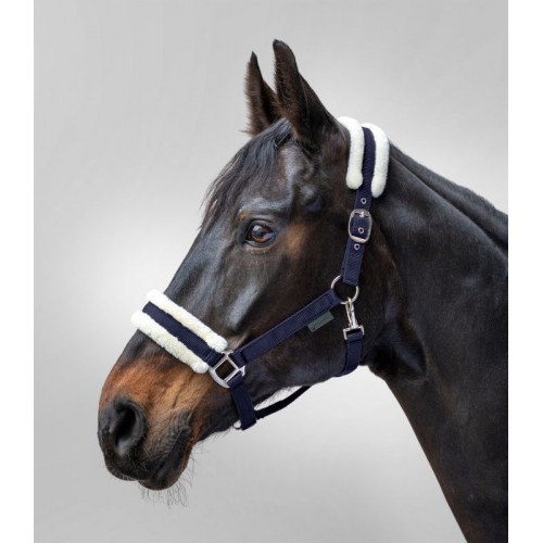 Waldhausen Halter First