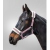 Waldhausen Halter First