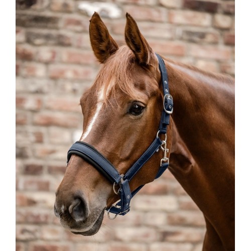 Waldhausen Breath Halter