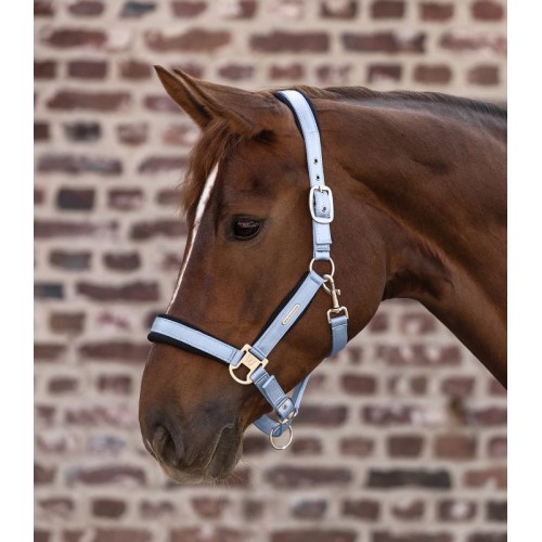 Waldhausen Breath Halter