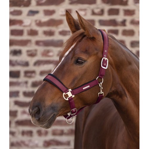 Waldhausen Breath Halter