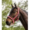 Waldhausen Breath Halter