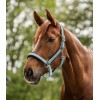 Waldhausen Breath Halter