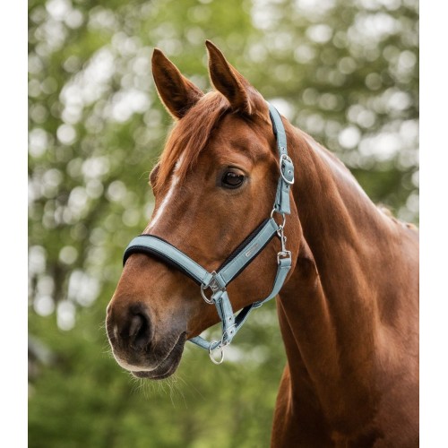 Waldhausen Breath Halter