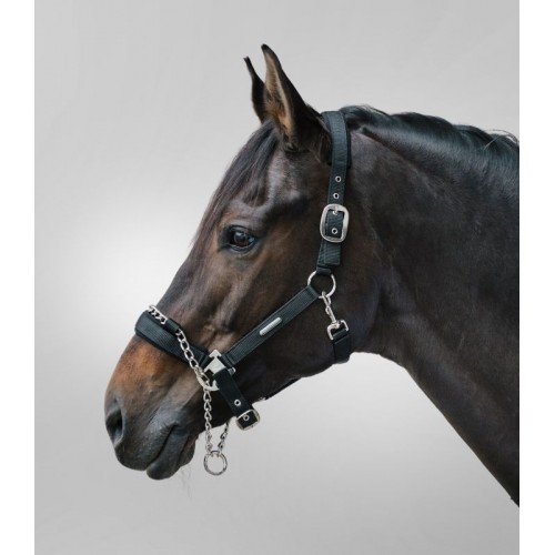 Waldhausen Halter Pro Safety