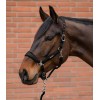 Waldhausen Headcollar Set Velvet