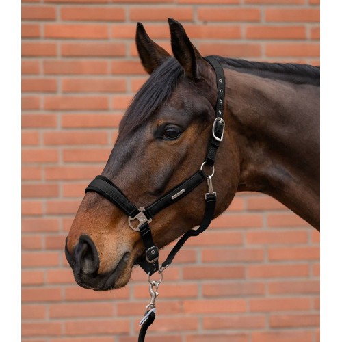 Waldhausen Headcollar Set Velvet
