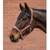Waldhausen Headcollar Set Velvet