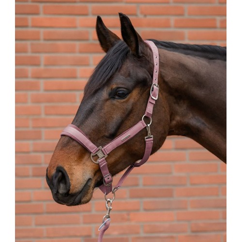 Waldhausen Headcollar Set Velvet