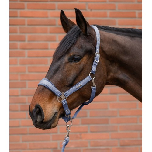 Waldhausen Headcollar Set Velvet