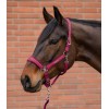 Waldhausen Headcollar Set Velvet