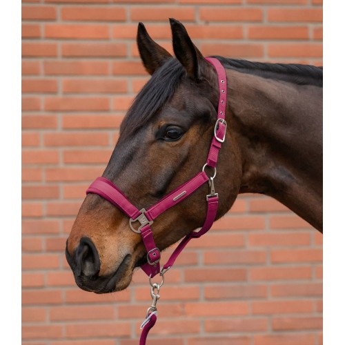 Waldhausen Headcollar Set Velvet