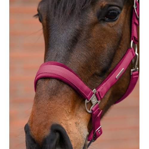 Waldhausen Headcollar Set Velvet