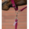 Waldhausen Headcollar Set Velvet