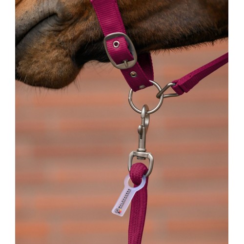 Waldhausen Headcollar Set Velvet