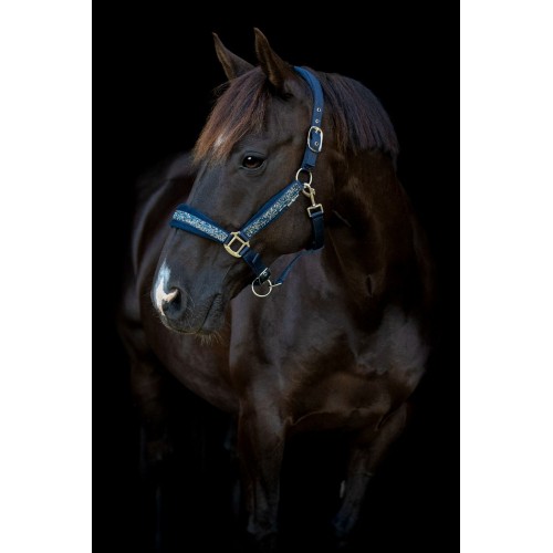 HorseGuard SS26 Angel halter