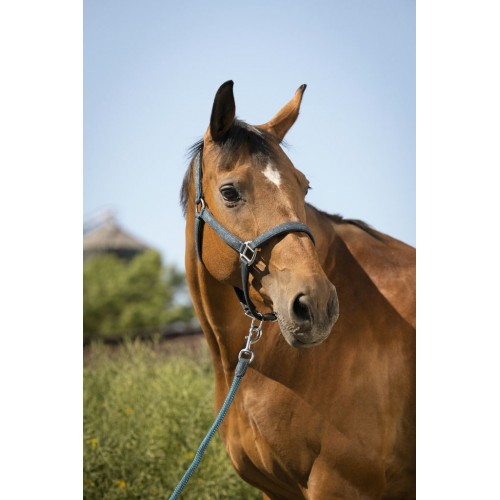 Equithème Glitter Halter and Lead Rope