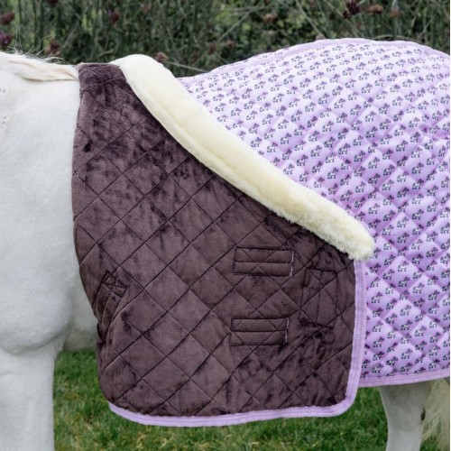 Kentucky Sammy Collection Show Rug
