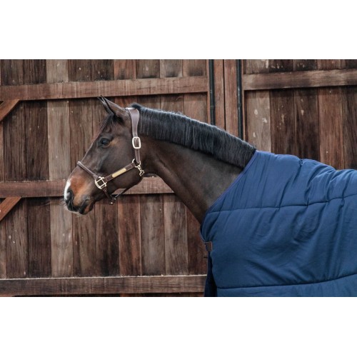 Kentucky Under Rug Classic 200g