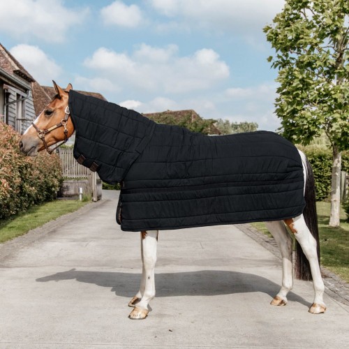 Kentucky Under Rug Skin Friendly Neck 150G