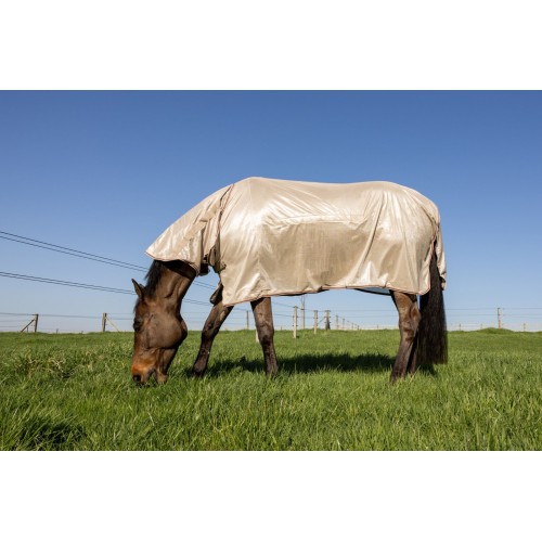 Kentucky Mesh Fly Rug Comfort Classic with Neck and Belly Cover