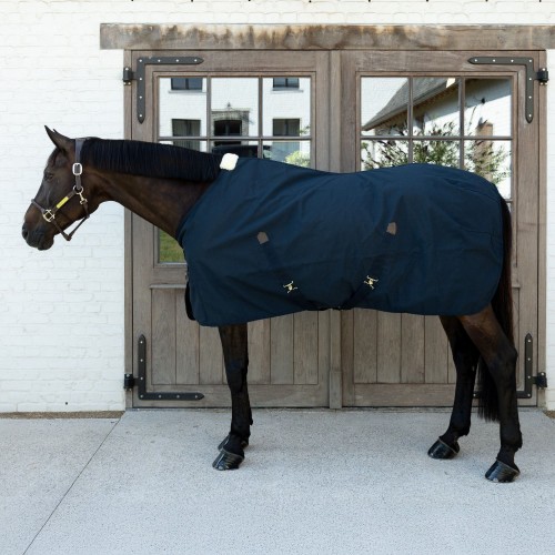 Kentucky Canvas Rug