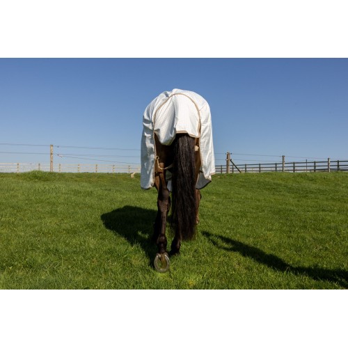 Kentucky Sweet Itch Fly & Summer Comfort Eczema Rug