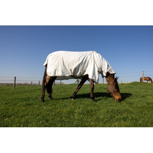 Kentucky Sweet Itch Fly & Summer Comfort Eczema Rug